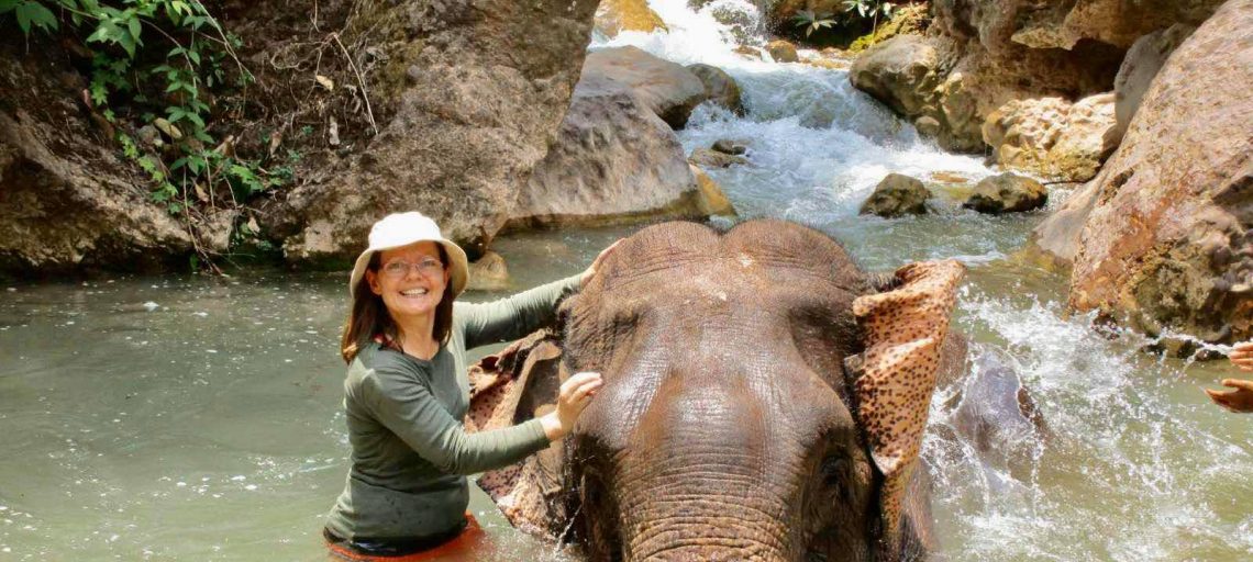 Meet the gentle giants: Myanmar Elephant Camps