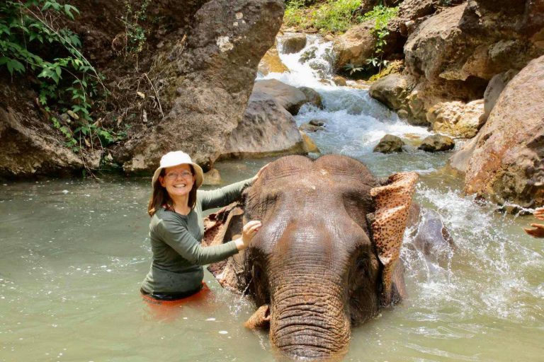 Meet the gentle giants: Myanmar Elephant Camps